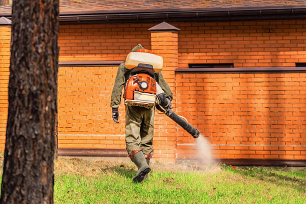 Trusted Mosquito Control service in Valencia West, AZ - Nex Pest Control